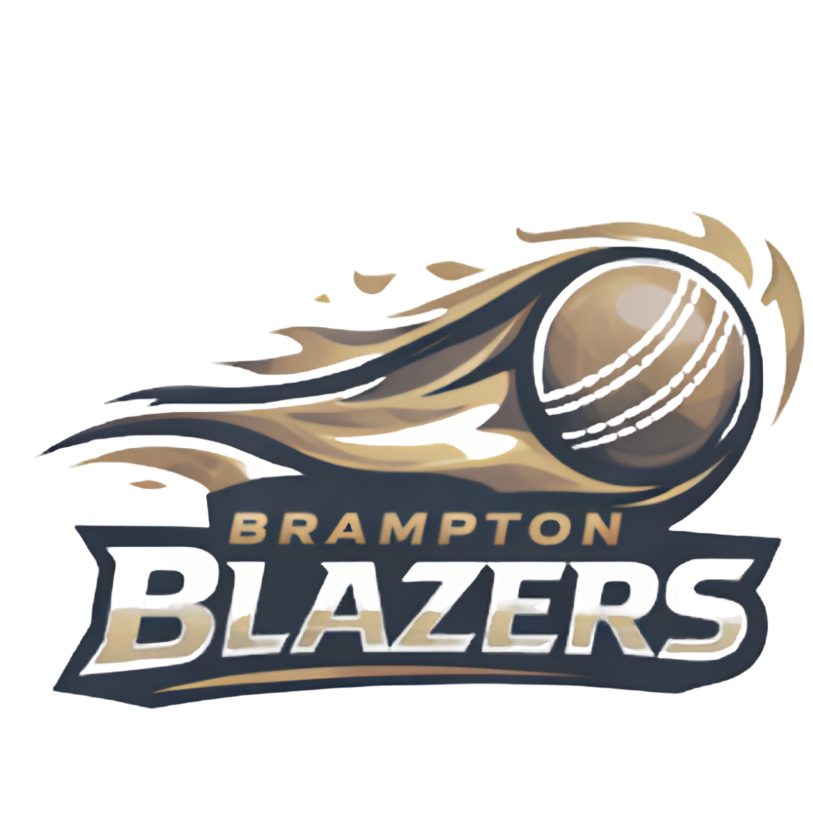 Bangla Tigers Logo